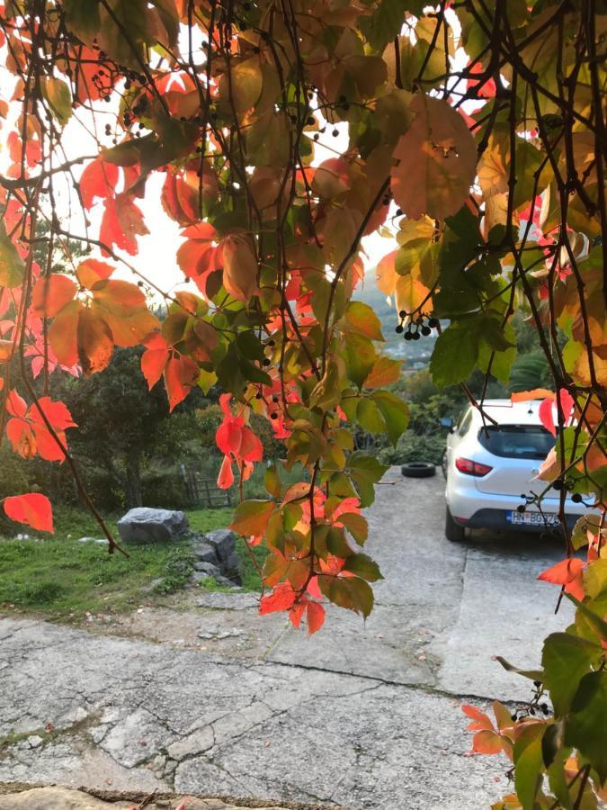 Etno Village Mihailovic II Herceg Novi Ngoại thất bức ảnh