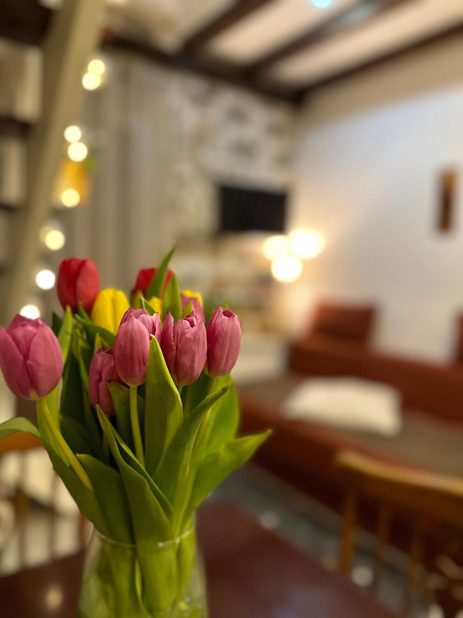 Etno Village Mihailovic II Herceg Novi Ngoại thất bức ảnh